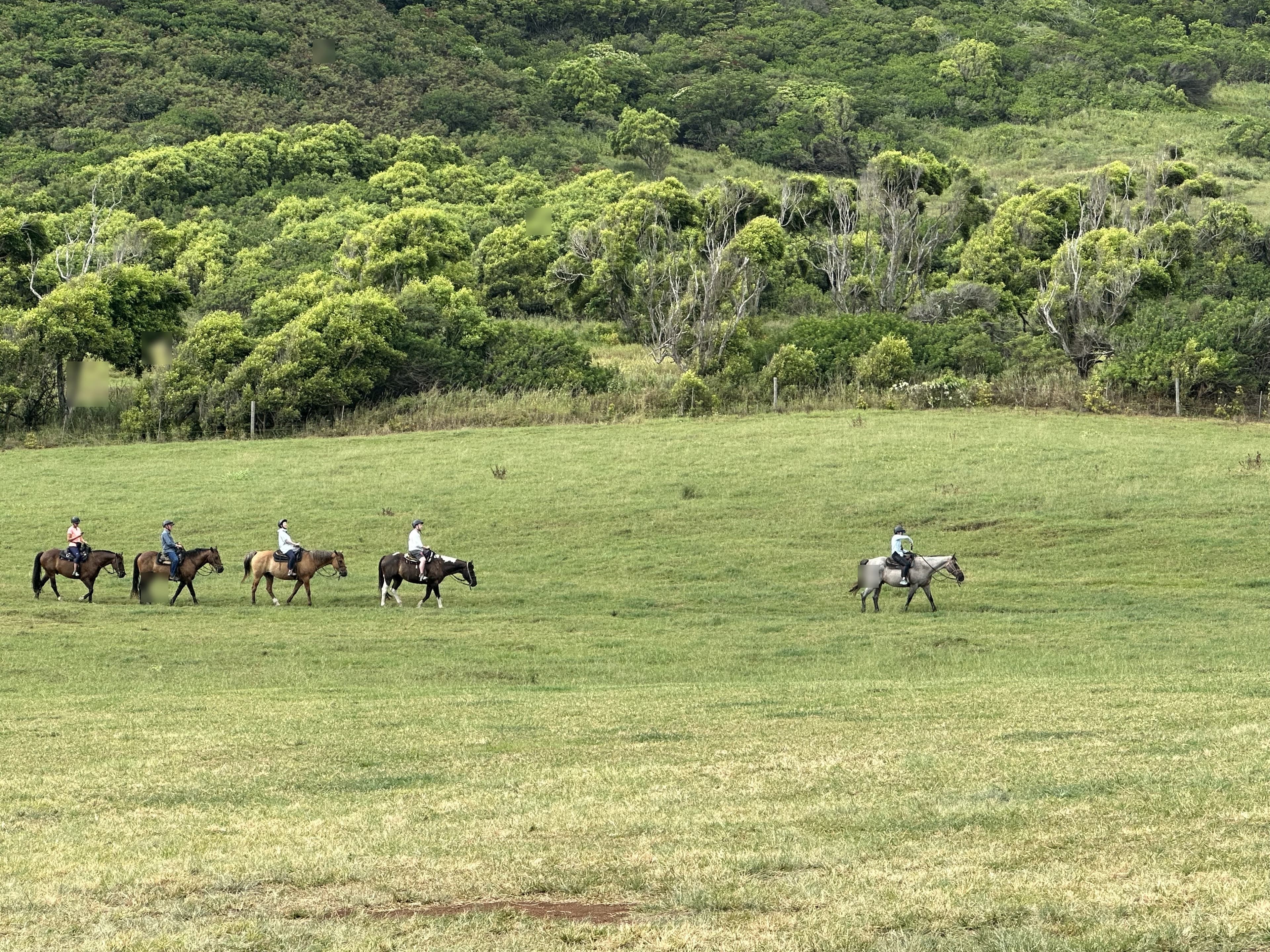 Visit Kualoa Ranch - Oahu, Hawaii