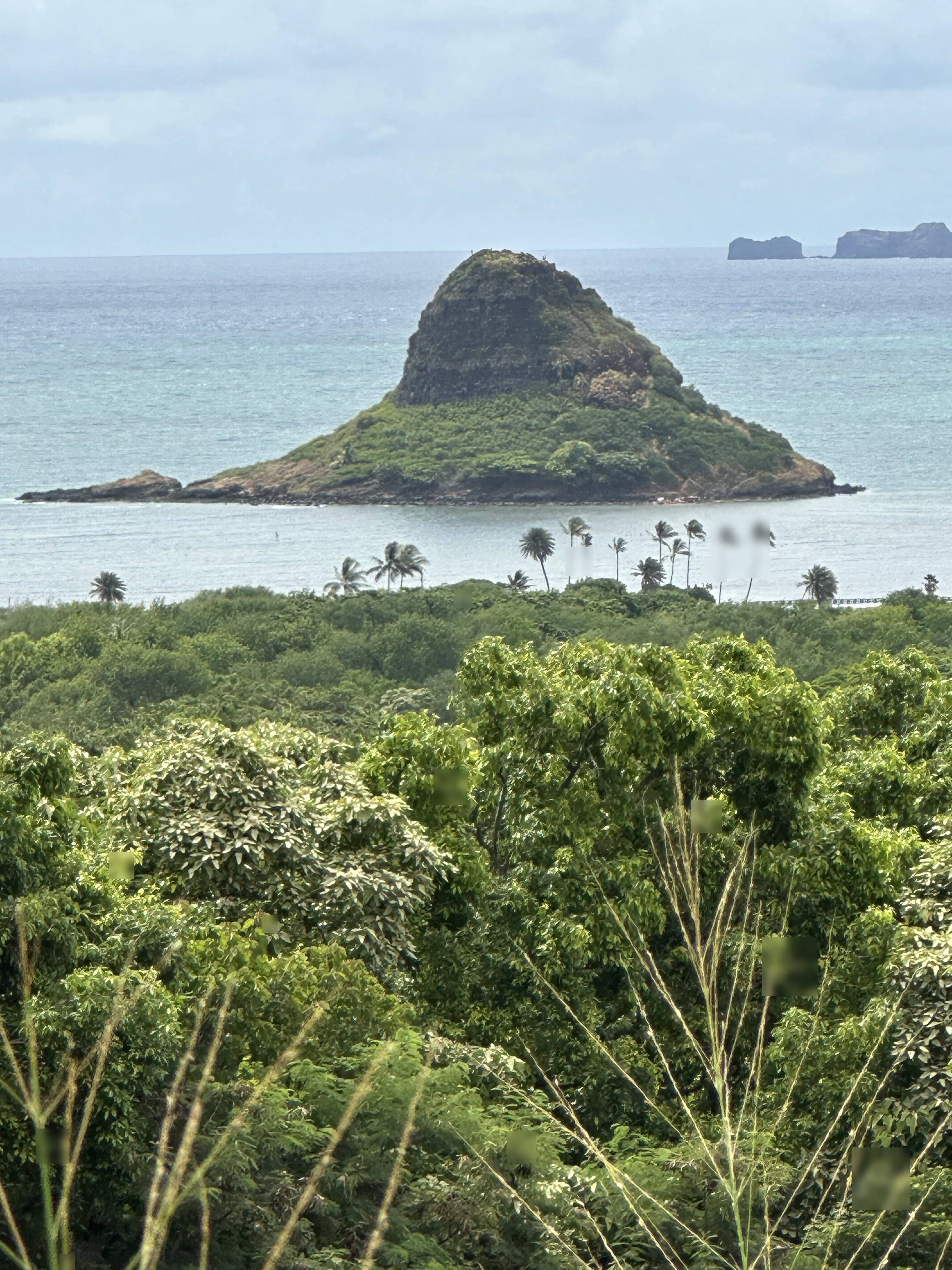 Drive the Windward Coast - Oahu, Hawaii