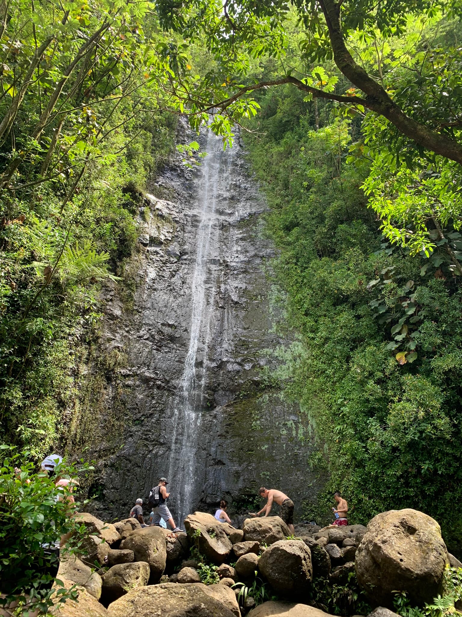 Hike Manoa Falls - Oahu, Hawaii